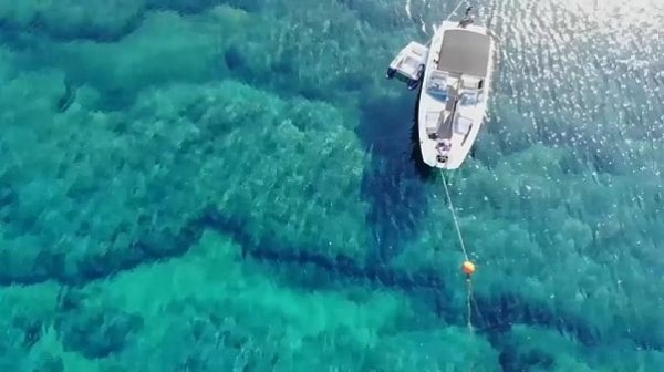 Healthy oceans can provide solutions to climate change Healthy oceans can provide solutions to climate change