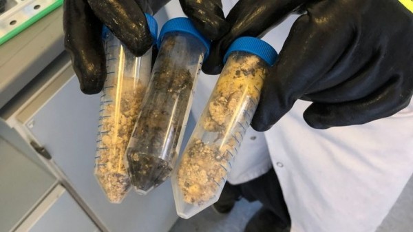 Revealed: Main culprits that made up monster fatberg
Revealed: Main culprits that made up monster fatberg