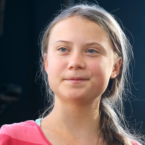 
Greta Thunberg meets Leonardo DiCaprio as LA loses its cool over newfound star
