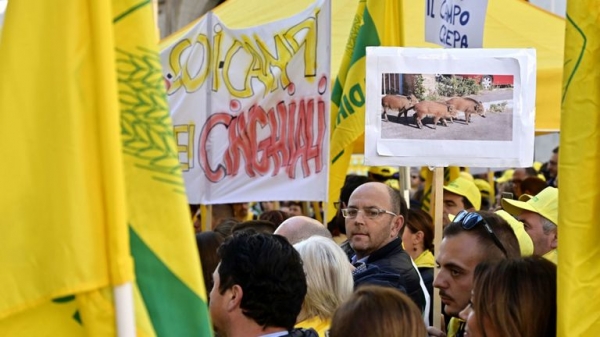 
Wild boar discover and snort £17,000 of cocaine in Tuscan forest
