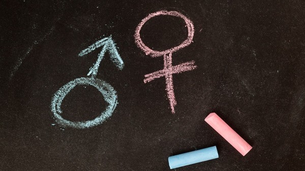 Number of young adults identifying as transgender plunges by nearly half in two years