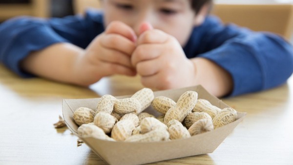 Common food allergy plummets nationwide after experts recommend bold new approach Common food allergy plummets nationwide after experts recommend bold new approach