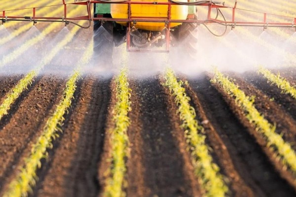 Research suggests pesticides are harmful to gut microbes Research suggests pesticides are harmful to gut microbes