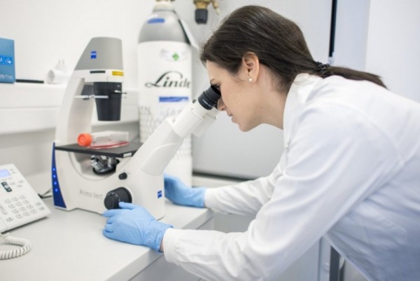 Researchers find unexpected bacteria deposits in brain tumors Researchers find unexpected bacteria deposits in brain tumors