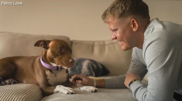 Breakthrough GLP-1 implant promises major weight-loss benefits for pets Breakthrough GLP-1 implant promises major weight-loss benefits for pets