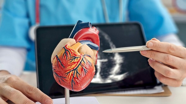 Men with 'beer bellies' may face serious heart damage regardless of weight Men with 'beer bellies' may face serious heart damage regardless of weight