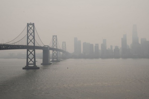 Study suggests air pollution contributes to clogged arteries